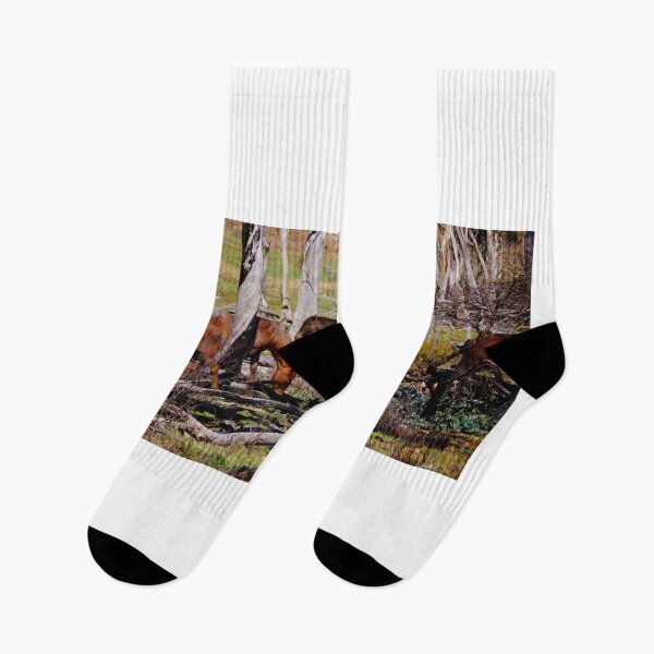 Item preview, High Country Brumbies designed and sold by D-GaP.