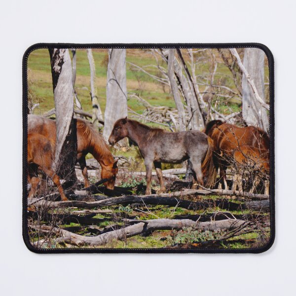 Item preview, High Country Brumbies designed and sold by D-GaP.