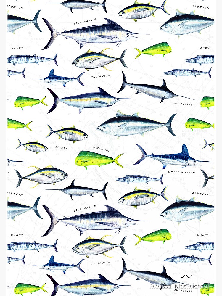 "Tuna, Marlin, Wahoo, Swordfish, MahiMahi Hand Illustrated Sport Fish