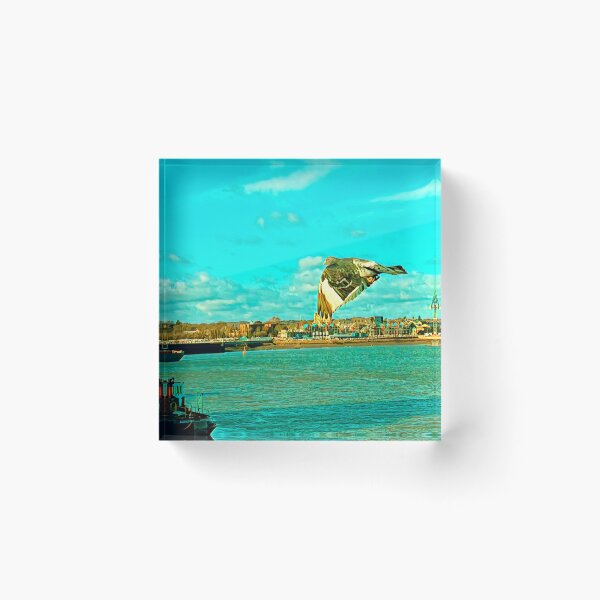 Item preview, Medway river pigeon  designed and sold by yourartylife.