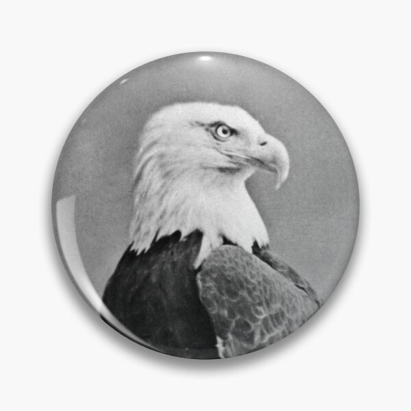 Item preview, War Eagle Of Wisconsin - Old Abe - 1876 designed and sold by warishellstore.