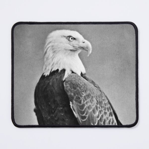 Item preview, War Eagle Of Wisconsin - Old Abe - 1876 designed and sold by warishellstore.