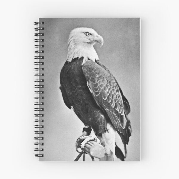 Item preview, War Eagle Of Wisconsin - Old Abe - 1876 designed and sold by warishellstore.