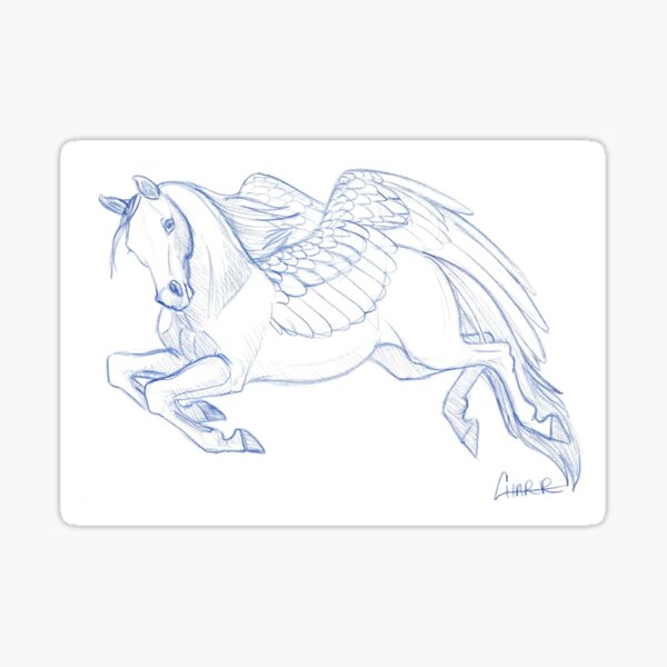 Flying Pegasus Sketch Sticker