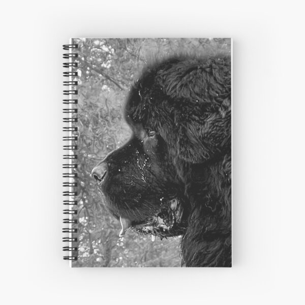 Item preview, Zane the Gorgeous Newf designed and sold by Christine Mullis.