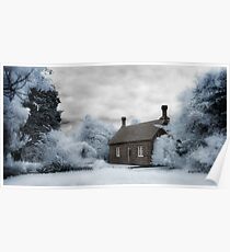 Infrared Garden Poster