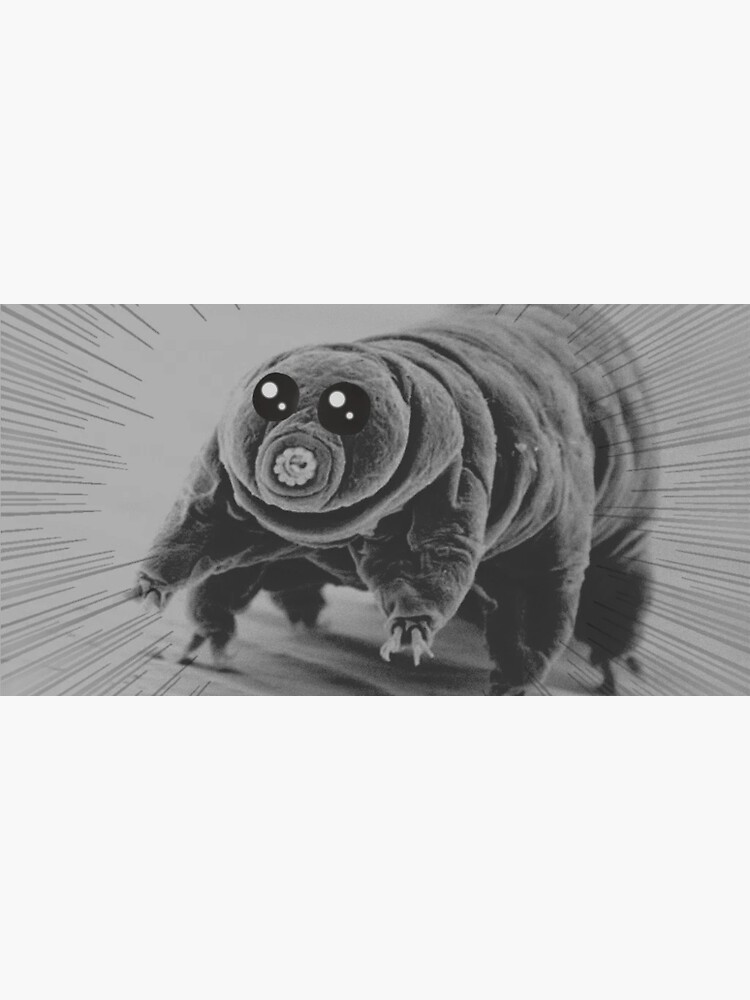 "Water Bear" Sticker by xxRampaige Redbubble