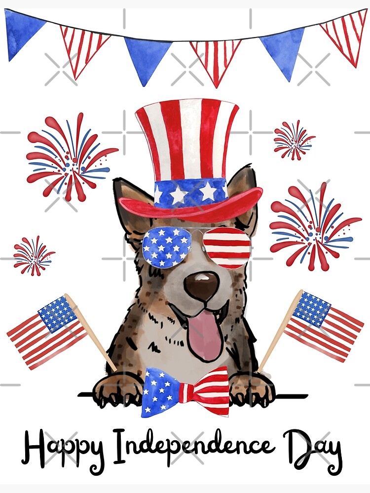 independence day in usa wikipedia