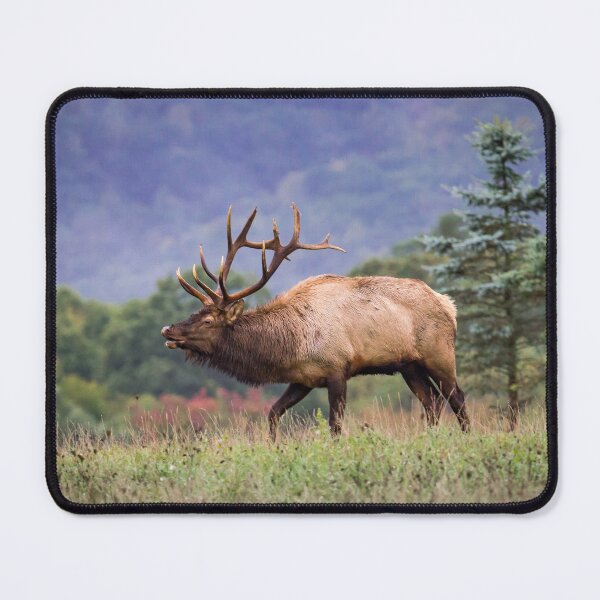 Item preview, Pennsylvania Elk designed and sold by Michael Sharp.