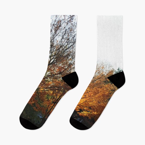 Item preview, Autumn trees designed and sold by sylviekpdx.