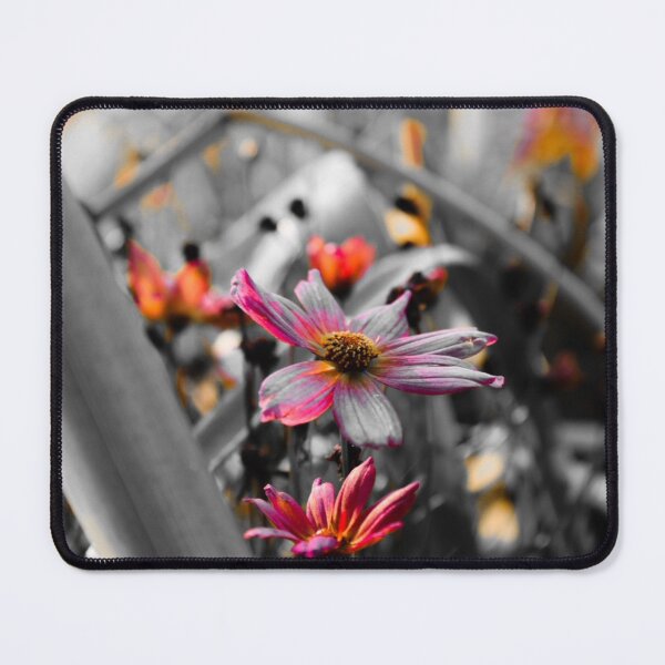 Item preview, Pink flower designed and sold by sylviekpdx.