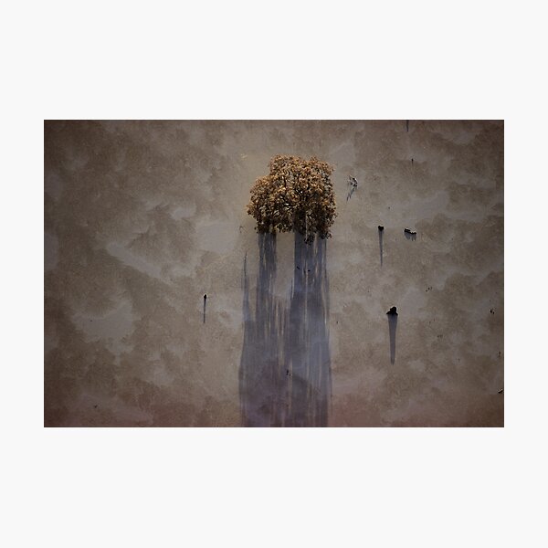 Item preview, wetland tree designed and sold by victor.