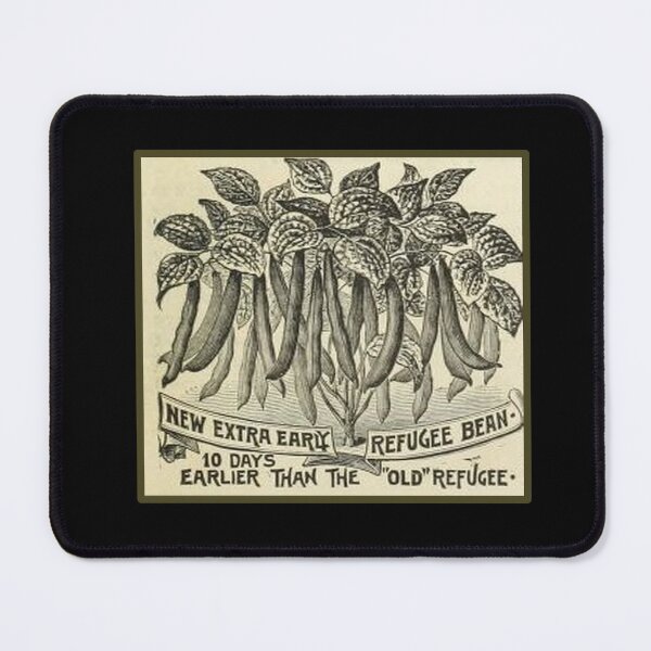 Item preview, Vintage Old Refugee String Bean Packet from the 1800's designed and sold by MountMercantile.