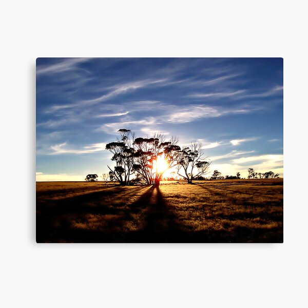 Into The Shadows Canvas Print