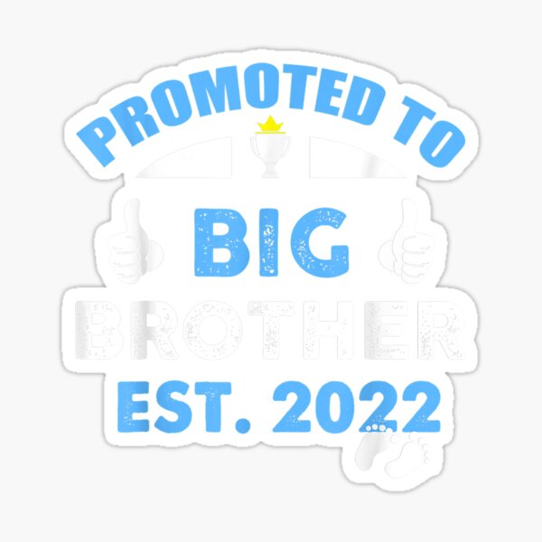 "Promoted To Big Bro Funny I39;m Going To Be A 2022 TShirt" Sticker by
