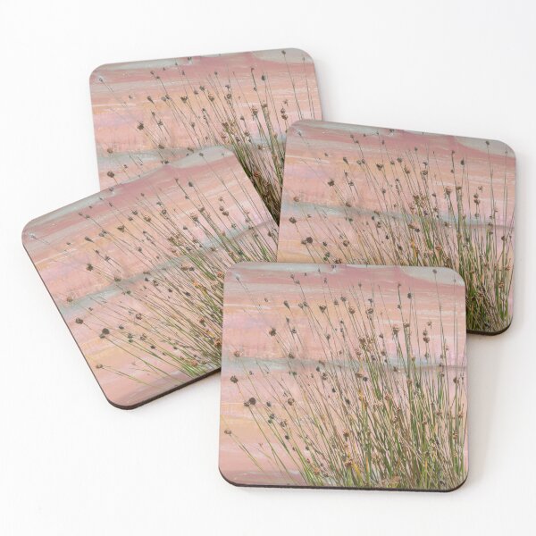Item preview, "Knobby Club Rush" No.1 | Australian Native Grass Plant designed and sold by LiseHoltArt.