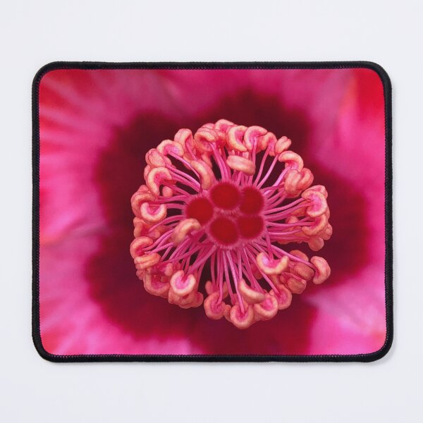 Item preview, Stunning beauty designed and sold by HippyFlowers.