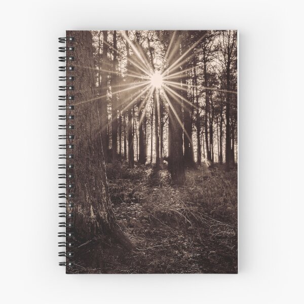 Item preview, Sun Burst designed and sold by Colin Metcalf.
