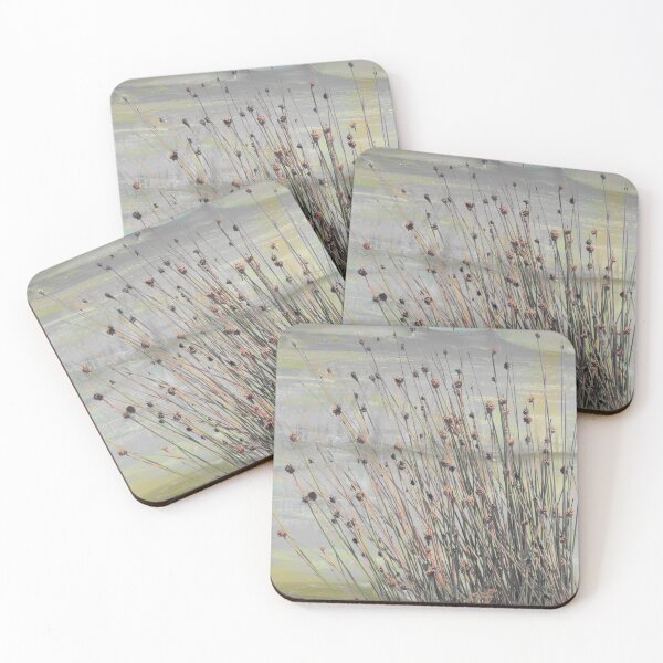 Item preview, "Knobby Club Rush" No.2 | Australian Native Grass Plant designed and sold by LiseHoltArt.