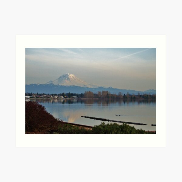 Mt. Rainier in Spring Art Print