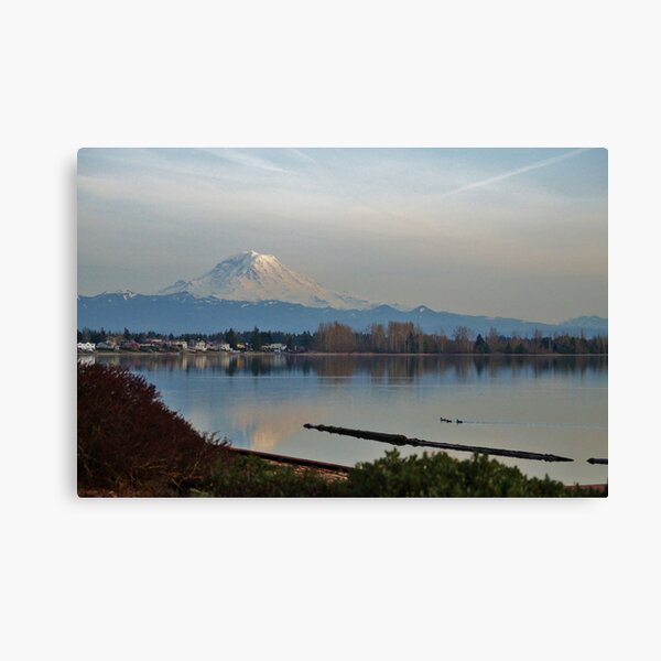 Mt. Rainier in Spring Canvas Print