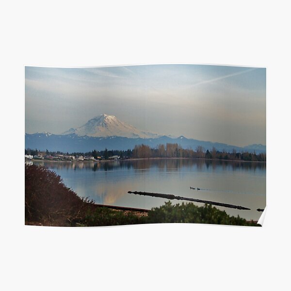 Mt. Rainier in Spring Poster