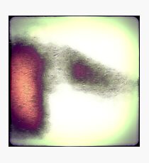 Pure Anticipation Photographic Print
