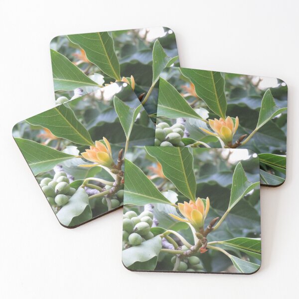 Item preview, Magnolia champaca designed and sold by greentiger1.