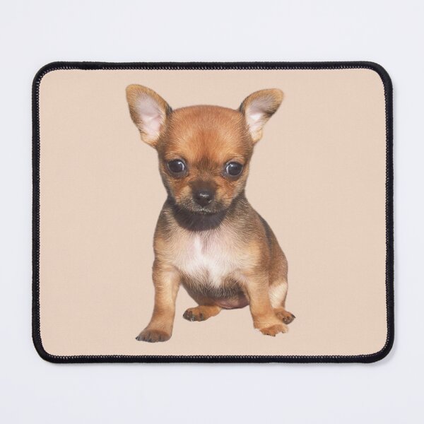 Item preview, Chihuahua Pup designed and sold by RainbowSpinkle.