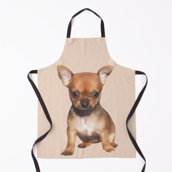 Item preview, Chihuahua Pup designed and sold by RainbowSpinkle.