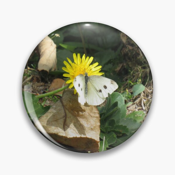 Item preview, Cabbage white butterfly designed and sold by greentiger1.