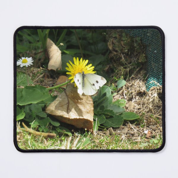 Item preview, Cabbage white butterfly designed and sold by greentiger1.