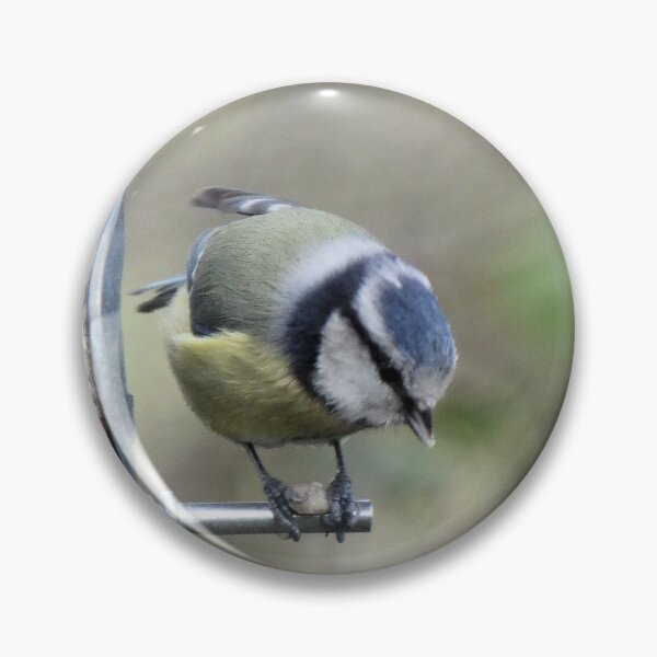 Item preview, blue tit designed and sold by KathleenDawson.