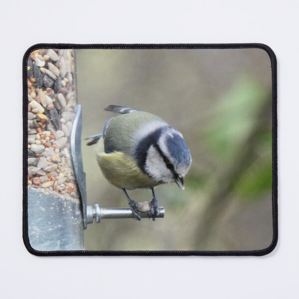 Item preview, blue tit designed and sold by KathleenDawson.