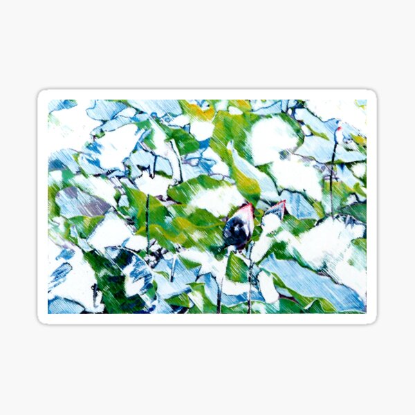 Water Lilies Sticker