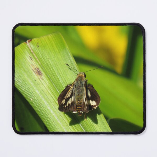 Item preview, Orange palm dart designed and sold by greentiger1.