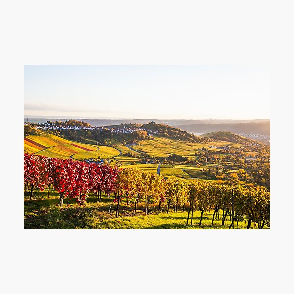Item preview, Vineyards in Stuttgart designed and sold by dieterich.