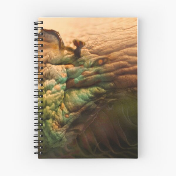 Item preview, Adaptation designed and sold by Jürgen Darski.