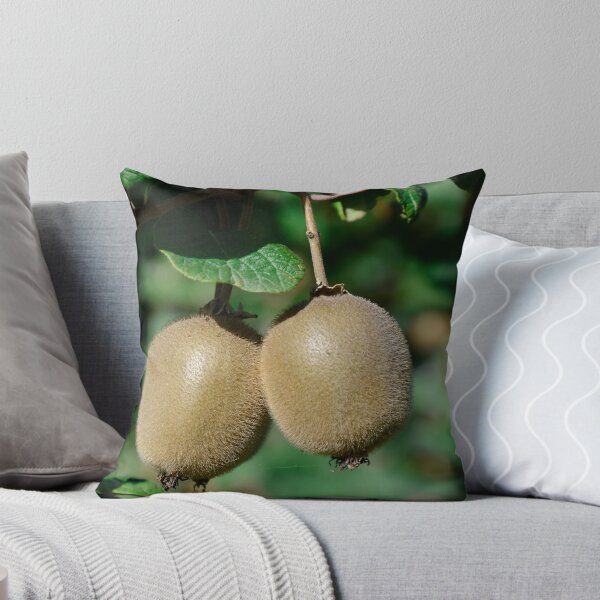 Item preview, Kiwis Actinidia sinensis fruits designed and sold by Christian PREVOT.