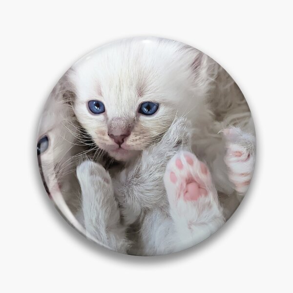 Item preview, Lynx ragdoll kitten designed and sold by Fluffycat2020.