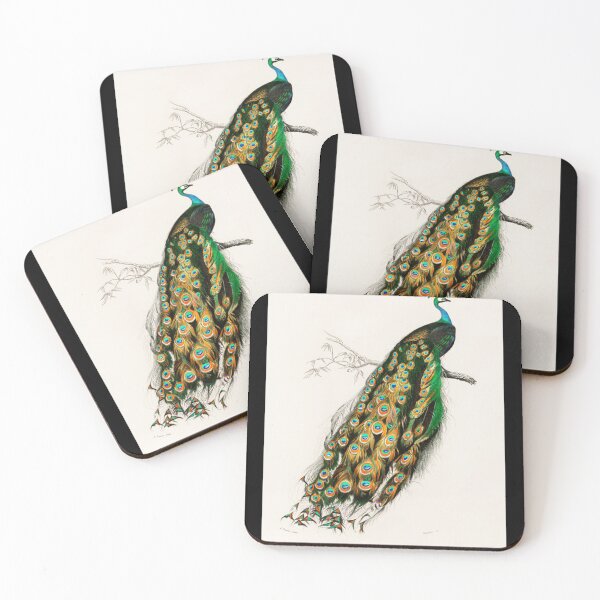Item preview, Indian peafowl (Pavo Cristatus) illustrated by Charles Dessalines D&x27; Orbigny Premium Scoop T-Sh designed and sold by lesd124b.