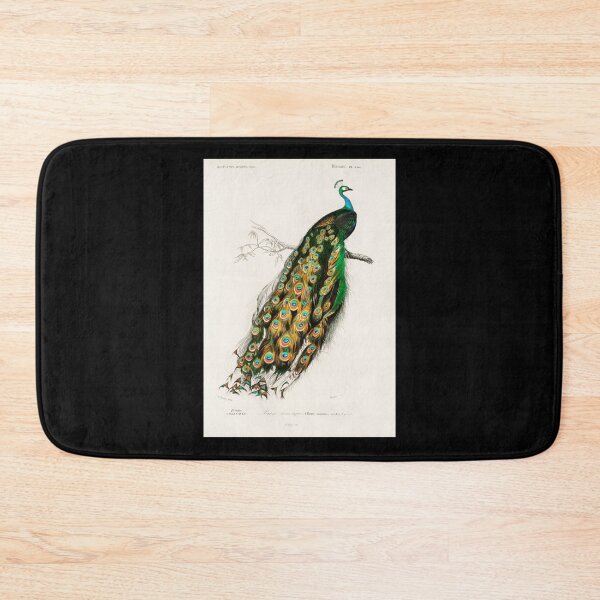Item preview, Indian peafowl (Pavo Cristatus) illustrated by Charles Dessalines D&x27; Orbigny Premium Scoop T-Sh designed and sold by lesd124b.