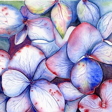 Imagen de la obra Hortensia de MariaJoseVanoArt