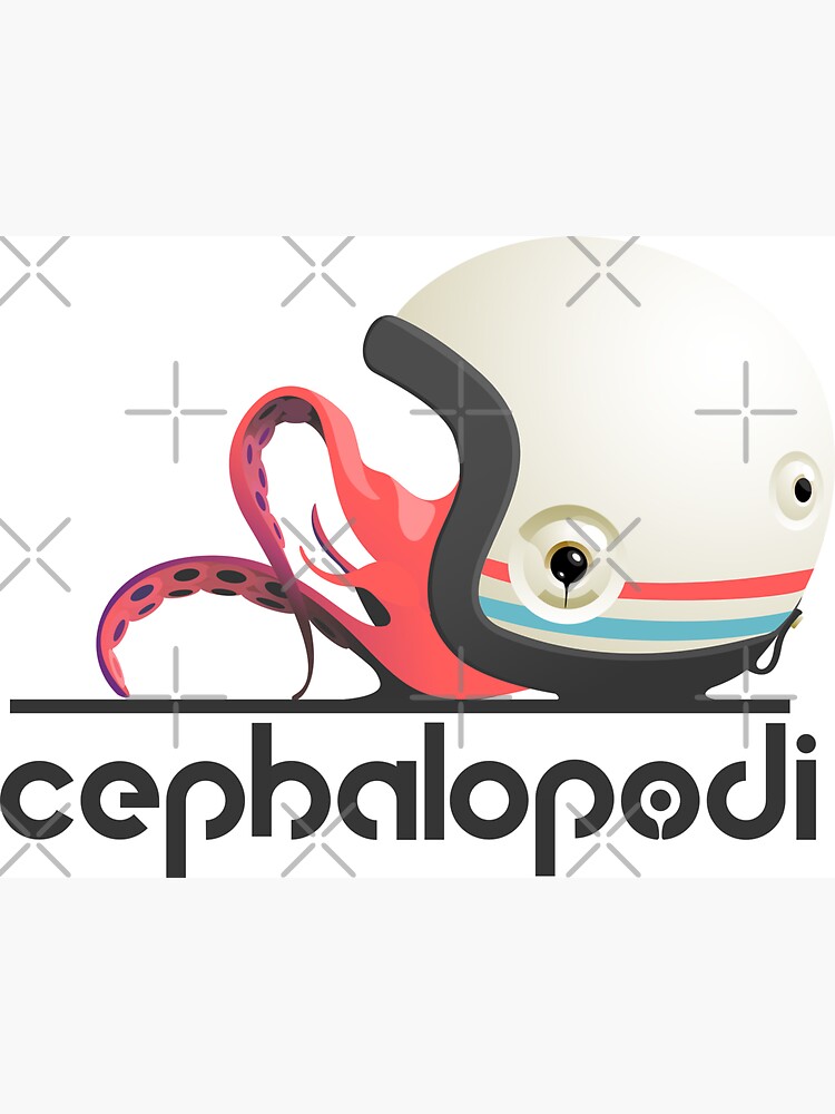 Cephalopodi brand by Cephalopodi