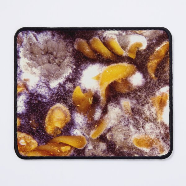 Item preview, You shouldn't play with food designed and sold by Jürgen Darski.