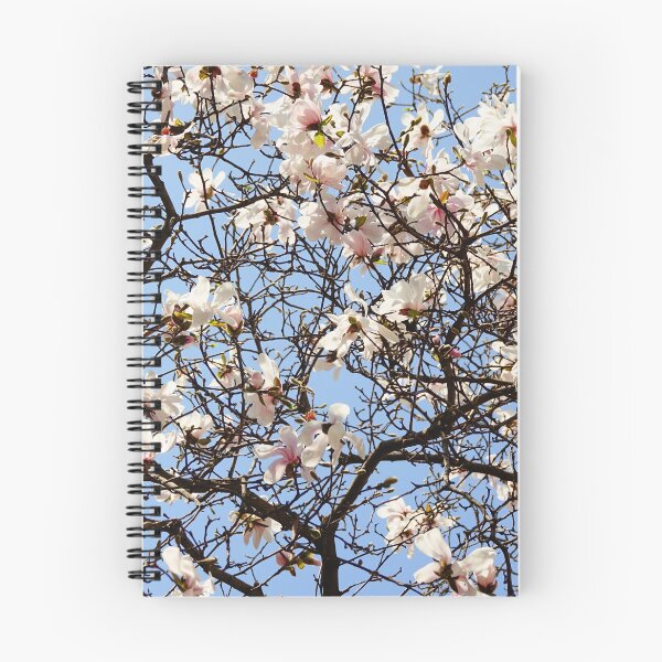 Item preview, White magnolia tree branches from below designed and sold by CarolinaReina.