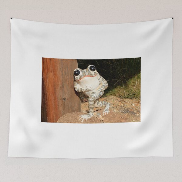Item preview, Happy frog with big eyes designed and sold by FranWest.