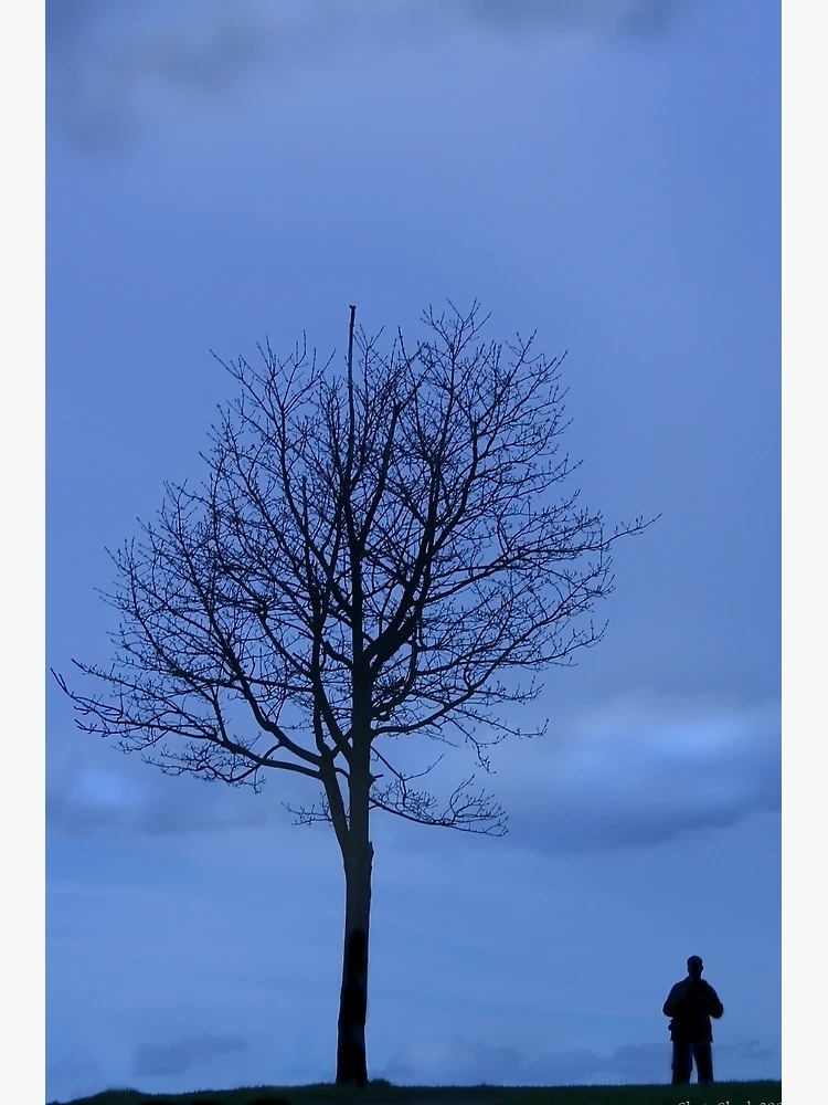 Thumbnail 3 von 3, Poster, Solitude designt und verkauft von Chris Clark.