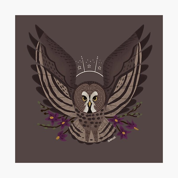 Familiar - Great Grey Owl Photographic Print