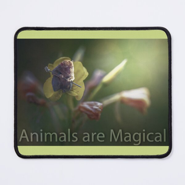 Item preview, magical animals designed and sold by OskiOnTour.